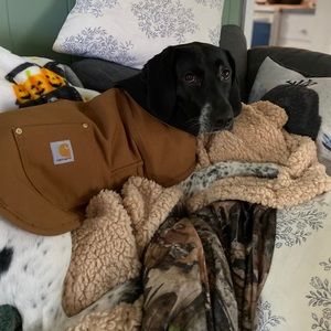 Meet your Posher, Brittany